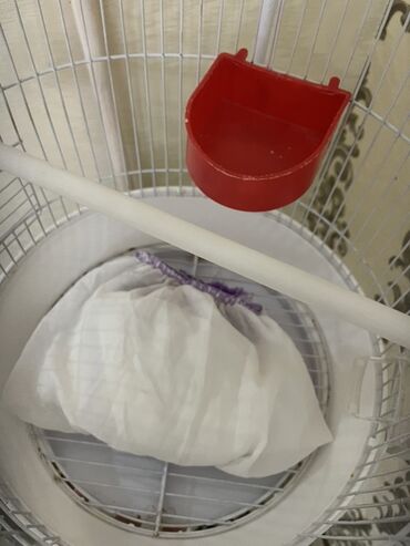 Qəfəslər: Ağ rəngli asılqanlı quş qəfəsi - Dairəvi, günbəz formalı metal — 6