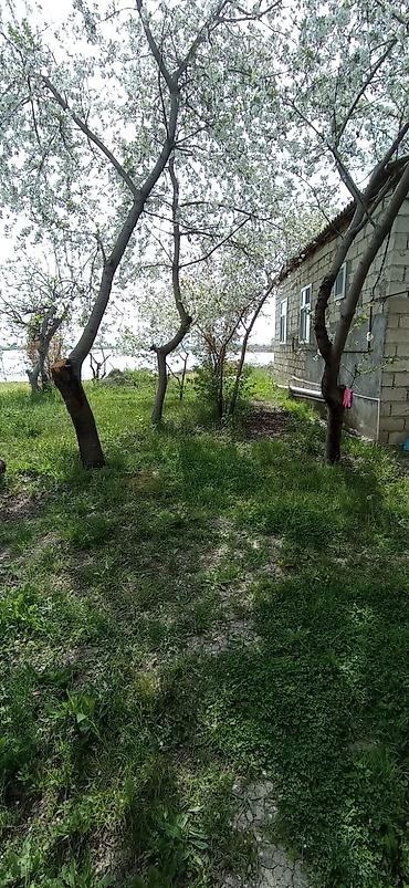 Torpaq sahələrinin satışı: 14 sot, Biznes üçün, Mülkiyyətçi, Kupça (Çıxarış) -da lalafo.az — 12 Torpaq sahələrinin satışı: 14 sot, Biznes üçün, Mülkiyyətçi, Kupça (Çıxarış) — 12