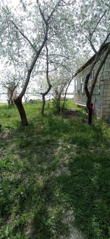 Həyət evləri və villaların satışı: 4 otaqlı, 90 kv. m, Kredit yoxdur, Yeni təmirli — 4