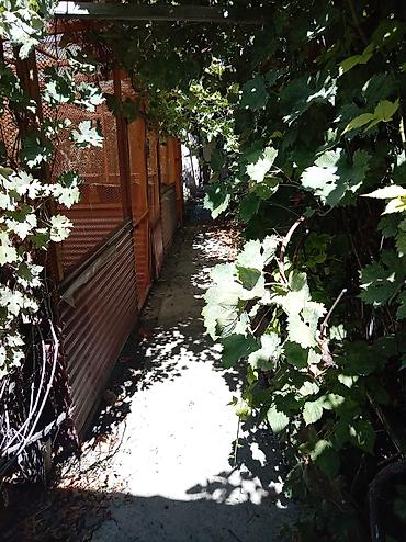 Продажа коттеджей и домов: Продаю дом,5 комнат,+ кухня+ванная комната с туалетом в доме, 2 — 11