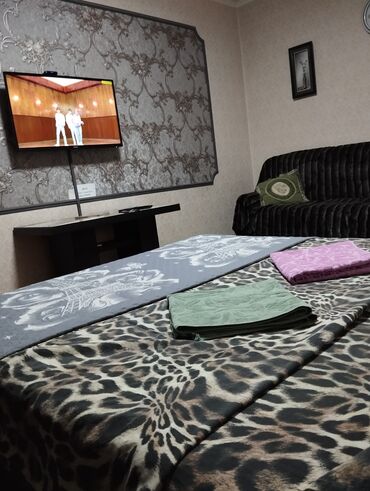 Посуточная аренда квартир: 1 комната, Интернет, Wi-Fi — 5