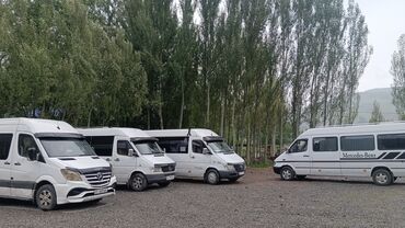 Трансфер, пассажирские перевозки: По городу Бус, Автобус, Такси, легковое авто | 20 мест