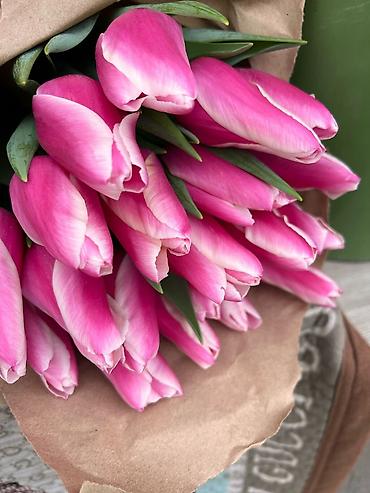Другие товары для дома: Цветы Голландские Тюльпаны Оптом! Из Голландии получаем — 19