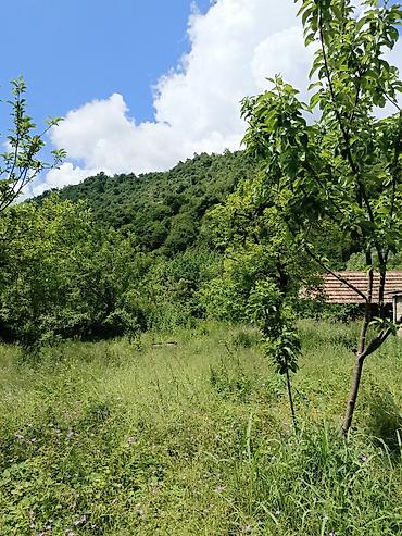 kredit ile: 3 otaqlı, 70 kv. m, Kredit yoxdur, Təmirsiz — 6