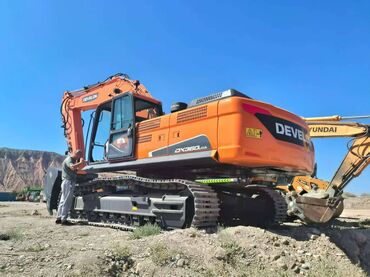 Экскаваторы: Экскаватор, Doosan, Гусеничный — 6