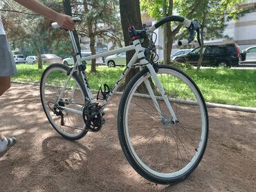 велосипед capella: Велосипед шоссейная 
продаю не спеша колеса28
минусов вообще нет 👍🏿