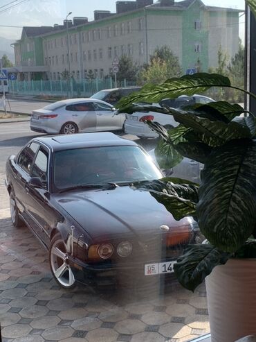 BMW: BMW 5 series: 1991 г., 2.5 л, Механика, Бензин, Седан