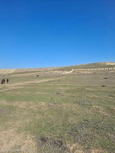 6 sot, Maklerlər narahat etməsin, Kupça (Çıxarış) lalafo.az -da 6 sot, Maklerlər narahat etməsin, Kupça (Çıxarış)