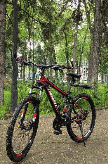 Велосипеды: DSMA zane500: - Размер колес: 27,5 дюймов - Рама: алюминиевая