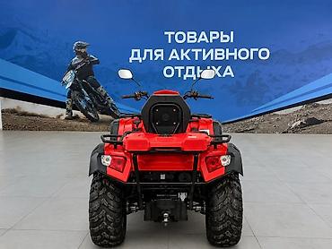 313: Квадроцикл Бензин, 500 куб. см, Взрослый — 4