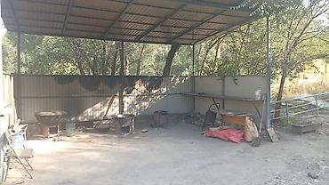 50 соток, Для бизнеса, Договор купли-продажи, Генеральная доверенность at lalafo.kg — 3 50 соток, Для бизнеса, Договор купли-продажи, Генеральная доверенность — 3