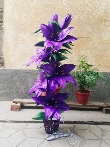 Другие услуги: Другие услуги — 9