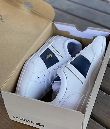 Личные вещи: Мужские кроссовки, 42.5, Lacoste, Новый, цвет - Белый, Самовывоз, Бесплатная доставка, Платная доставка — 2
