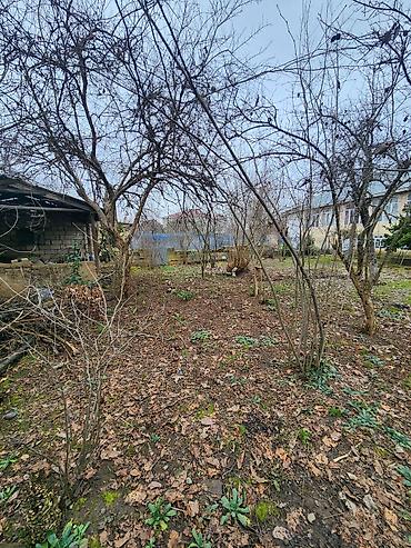 Həyət evləri və villaların satışı: 6 otaqlı, 140 kv. m, Kredit yoxdur, Orta təmir — 24