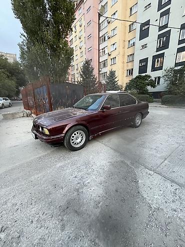 усы е34: BMW 5 series: 1994 г., 2 л, Механика, Бензин, Седан — 1