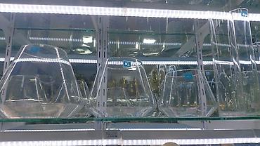 Akvariumlar: Akvarium İstənilən növdə, ölçüdə yumru akvariumlar, terrariumlar — 16