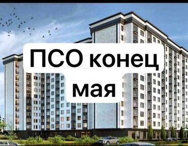 сдаю квартиру район пишпек: 1 бөлмө, 55 кв. м, Элитка, 10 кабат, Косметикалык ремонт