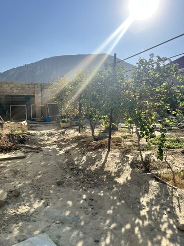 Həyət evləri və villaların satışı: 6 otaqlı, 100 kv. m, Kredit yoxdur, Orta təmir -da lalafo.az — 11 Həyət evləri və villaların satışı: 6 otaqlı, 100 kv. m, Kredit yoxdur, Orta təmir — 11