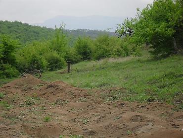 Torpaq sahələrinin satışı: TƏCİLİ SATILIR! 12 sot torpaq sahəsində yerləşən 2 otaqlı tikili -da lalafo.az — 10 Torpaq sahələrinin satışı: TƏCİLİ SATILIR! 12 sot torpaq sahəsində yerləşən 2 otaqlı tikili — 10