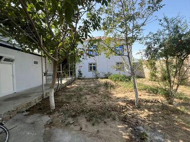 Ev üçün digər mallar: Dəyər qiymətindən daha uyğun qiymətə, ramana susa şəhərciyində iki — 9