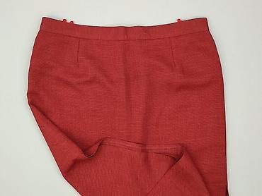 amaranto ubrania: Spódnica damska, rozmiar 4XL — 1