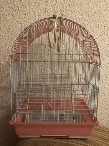 домашняя птица: Продаю клетку для птиц высота примерно 45 см ширина 20 см