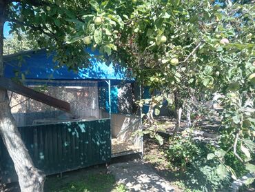 летающие вертолеты на пульте управления: Койко-место, 700 М ЦО Золотые пески, Бостери, Парковка, стоянка, Батут