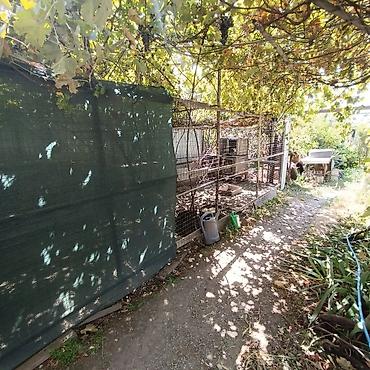 Продажа коттеджей и домов: !!! Под бизнес !!!! Под бизнес!!!! пишпек пишпек Тимура Фрунзе — 11