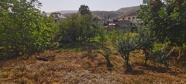 тоголок молдо дом куплю: 15 соток, Курулуш, Кызыл китеп