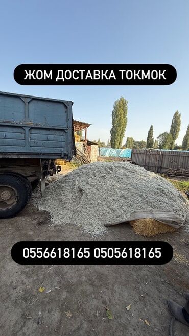 щенки охотничьих собак: Жом с доставкой. - Вид товара: свежий свекловичный жом (корм для КРС
