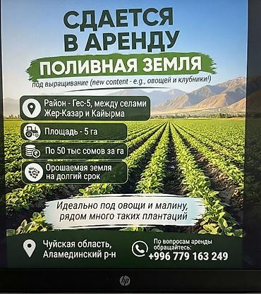 стоимость в бишкеке: 500 соток Для сельского хозяйства — 1
