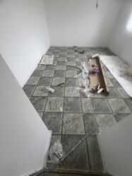 аренда квартир бишкек от собственника: 2 бөлмө, Менчик ээси, Чогуу жашоосу жок