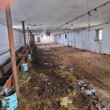 Torpaq sahələrinin satışı: Kənd təsərrüfatı, Mülkiyyətçi, Bələdiyyə, Kupça (Çıxarış) — 10