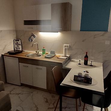 Stan na dan: Golden star Studio apartman- Planirate savršen beg u prirodu, ali ne — 14