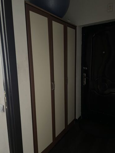 Raskladuşkalar: İşlənmiş, Açılan, 3 qapılı Düz dolab, Dəhliz dolabı