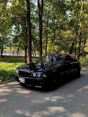 m3 e46: BMW 5 series: 2002 г., 2.5 л, Механика, Бензин, Седан — 5