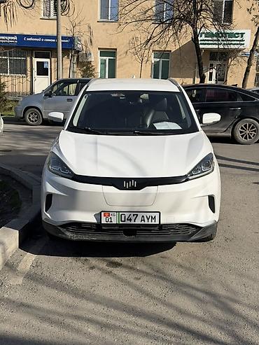 Другой электротранспорт: Электромобиль кроссовер (белый цвет) - Кузов: компактный кроссовер, 5 — 4