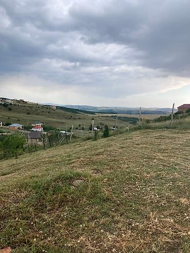 xırdalan torpaq satışı: 12 sot, Tikinti, Mülkiyyətçi, Kupça (Çıxarış) — 10