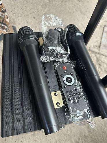se electronics: Портативная аккумуляторная акустическая система SSRJ SS-3101 Основные — 2