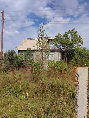 чайкана в аренду: Срочно срочно продаётся садовый дом! 8 СОТОК Пристань пржвальск — 1