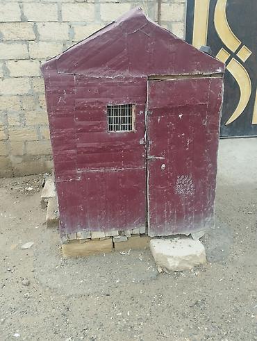 qara mal: Qiymət 150.m. catrlma yoxdu - Material: taxta karkas, üstü — 3