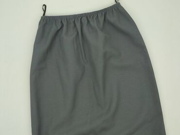 spódnice tutu dla dorosłych: Women`s skirt, S (EU 36)