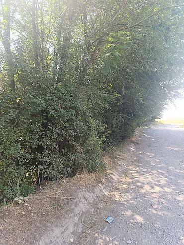 Продажа коттеджей и домов: Дом, 5 комнат, 68 кв.м В селе Петровка продается дом из 5-ти комнат at lalafo.kg — 4 Продажа коттеджей и домов: Дом, 5 комнат, 68 кв.м В селе Петровка продается дом из 5-ти комнат — 4