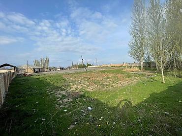 Продажа участков: 81 соток, Для бизнеса, Красная книга — 19