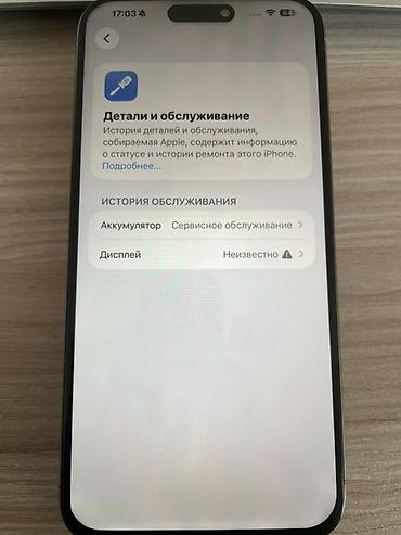 Apple iPhone: IPhone 15 Pro Max, 256 ГБ, Natural Titanium, Чехол — 7