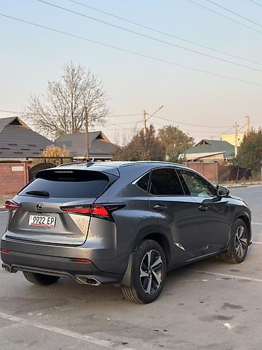 lexus js: Lexus NX: 2020 г., 2 л, Автомат, Бензин, Кроссовер — 4