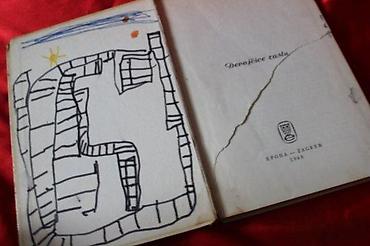 Knjige: DEVOJČICE RASTU, LUJZA ALKOT | Devojčice Rastu, Lujza AlkotOčuvanost — 3