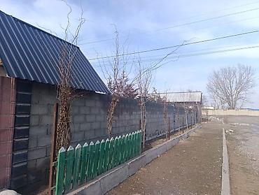 Кухонные гарнитуры: Кухонный гарнитур, Пластик — 11