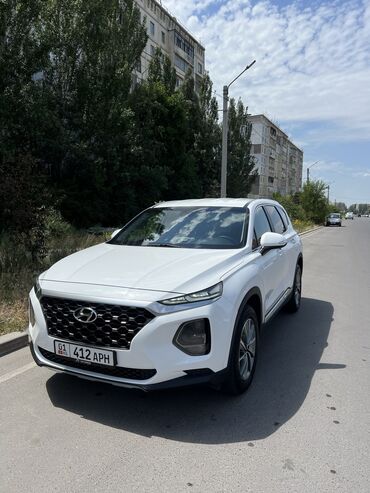 солярис 2: Hyundai Santa Fe: 2019 г., 2 л, Автомат, Дизель, Кроссовер