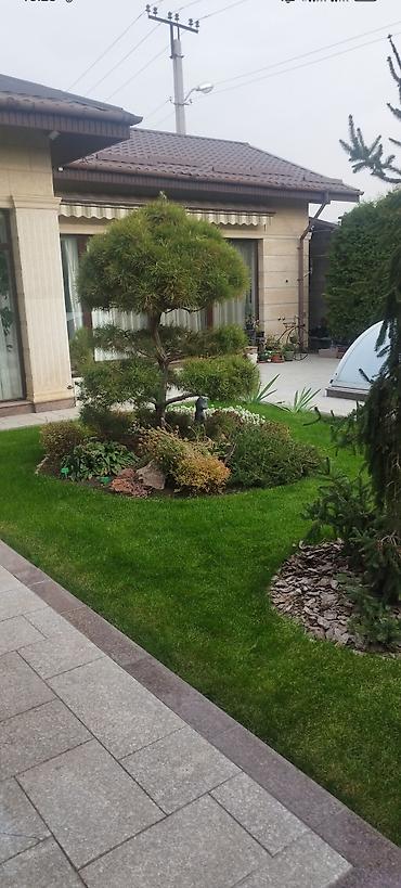 Дизайн, проектирование: Дизайн | Дома — 9